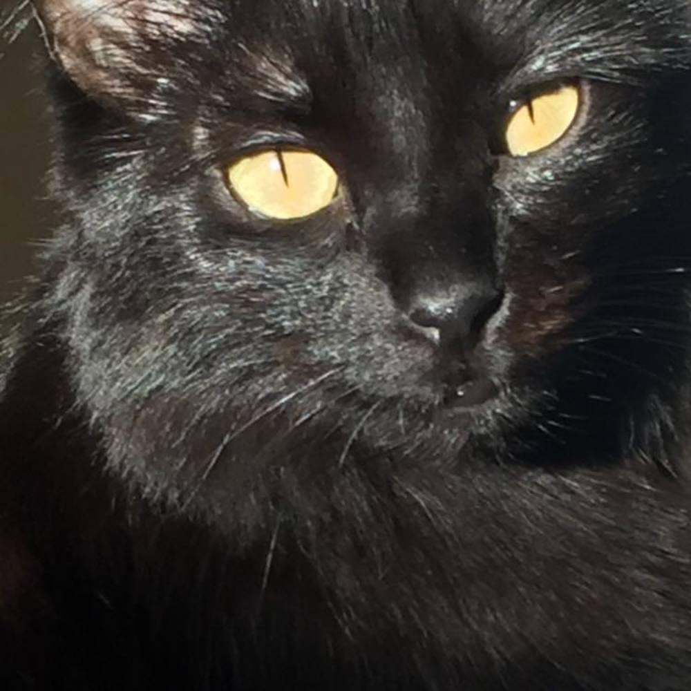 Meet your Posher, Heather